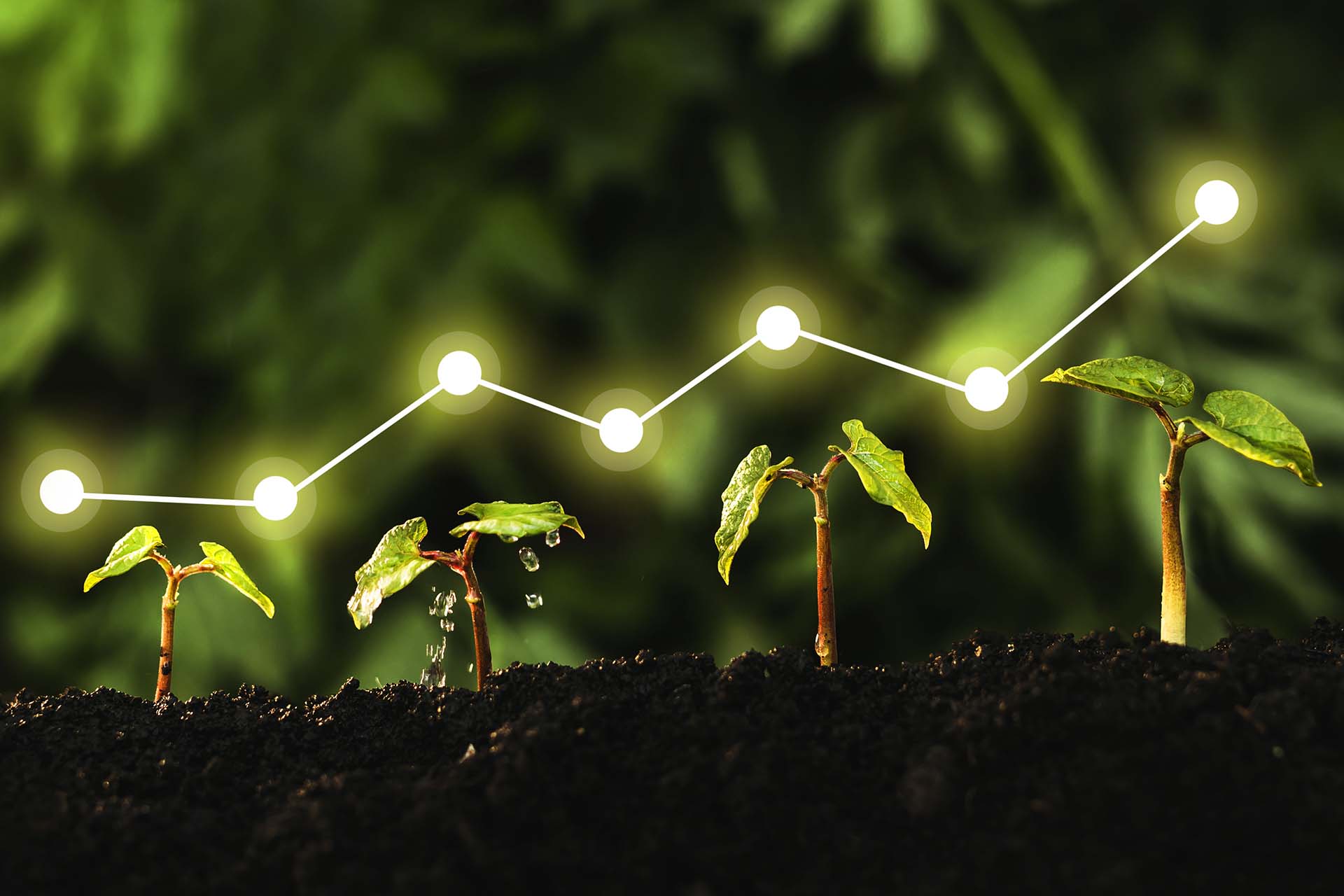 Scaling, Growth & The Long Game